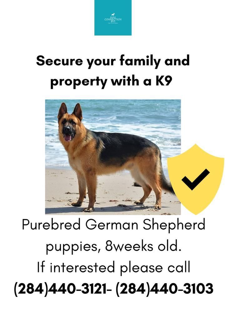 Bars, can now reopen with fully vaccinated staff & patrons